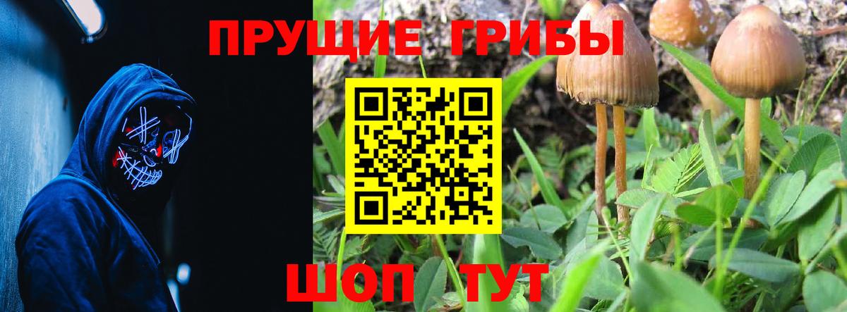 Псилоцибиновые грибы MAGIC MUSHROOMS  Вход с VPN  Волгоград  Галлюциногенные грибы Cubensis 